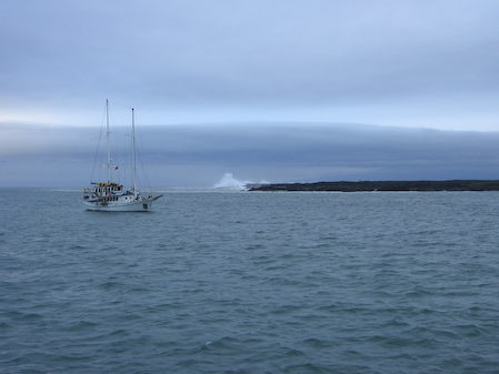 dawn_waves_crashing_2