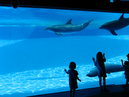 20080313_IMG_0382