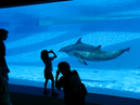 20080313_IMG_0387