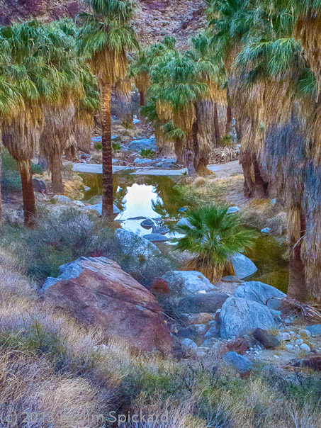 Canyon Bottom