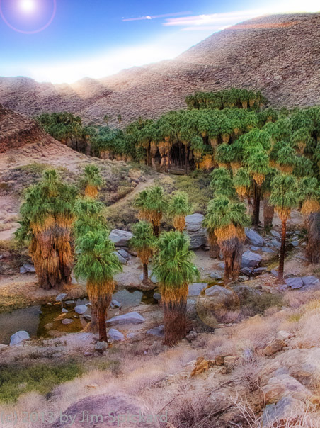 Canyon Light